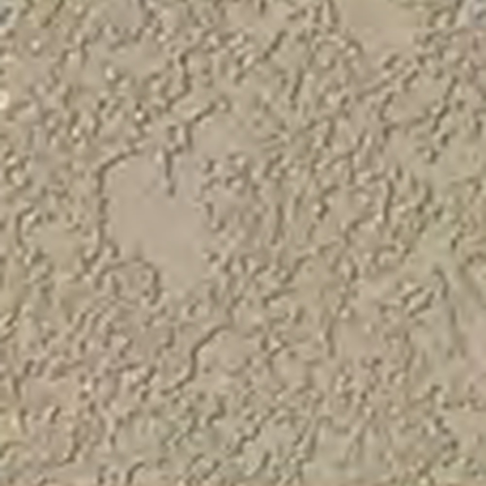 Baja Sand
