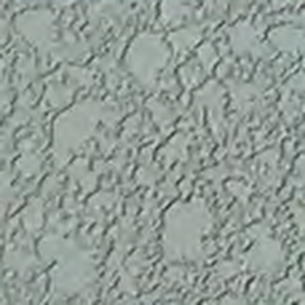 Misty Gray